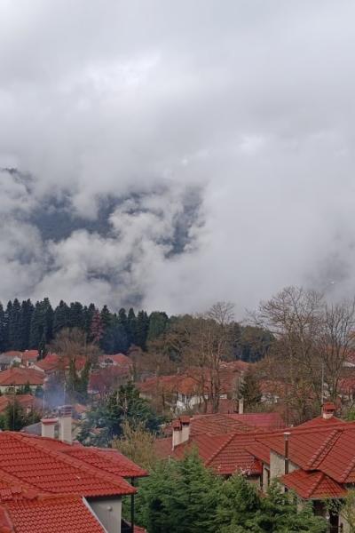 View2