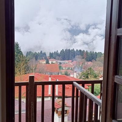 Window